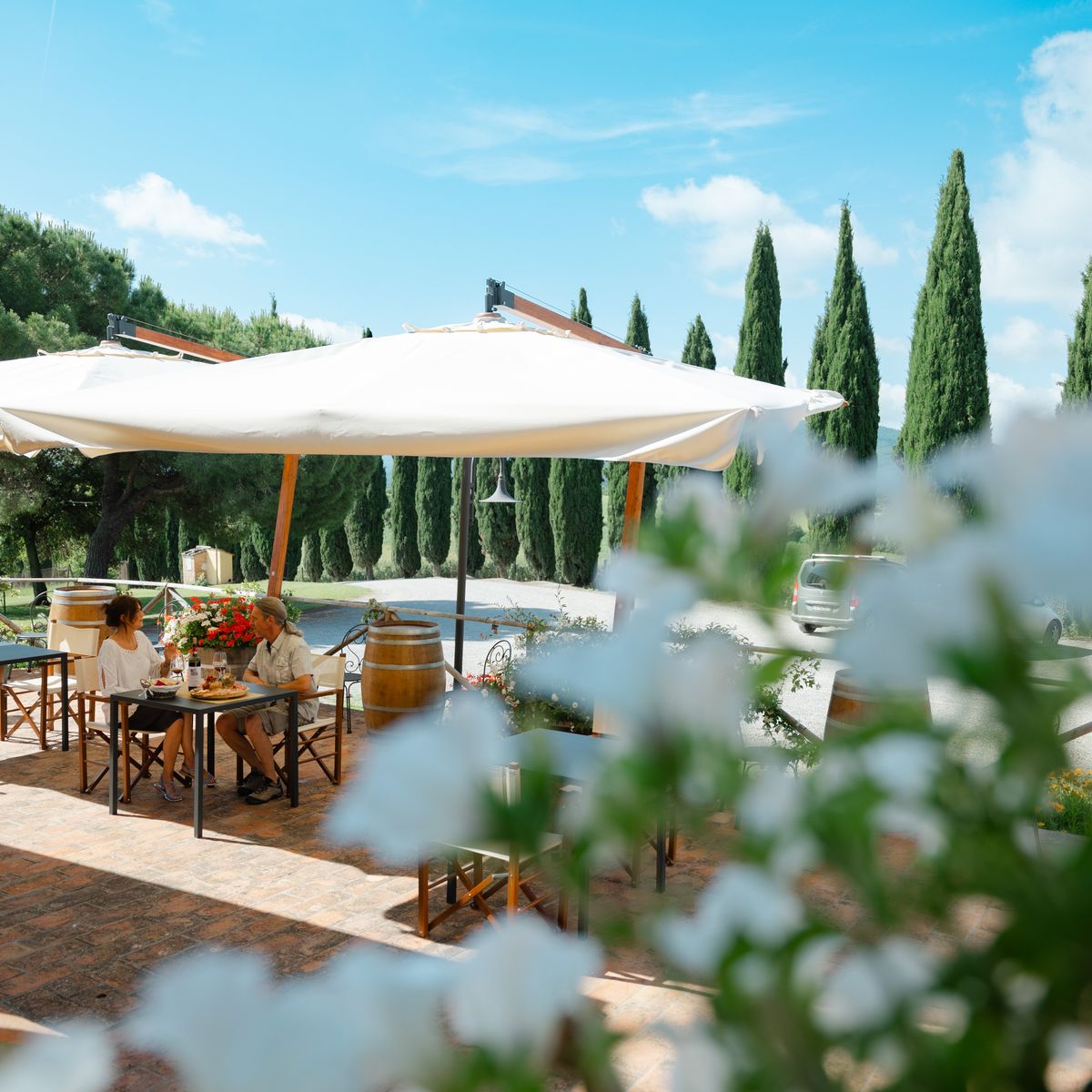 San Gimignano Tuscan Cooking Experience with Handmade Pasta, Lunch & Wine