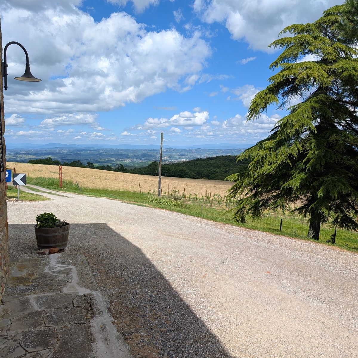 San Gimignano Tuscan Cooking Experience with Handmade Pasta, Lunch & Wine