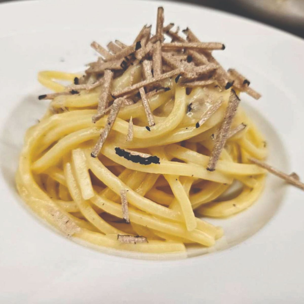Step Into the Heart of Florence: Fresh Pasta and Tiramisu Experience