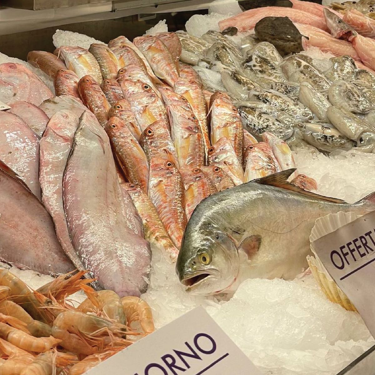 Fresh Pasta Making & Market Experience: A Culinary Journey in Florence