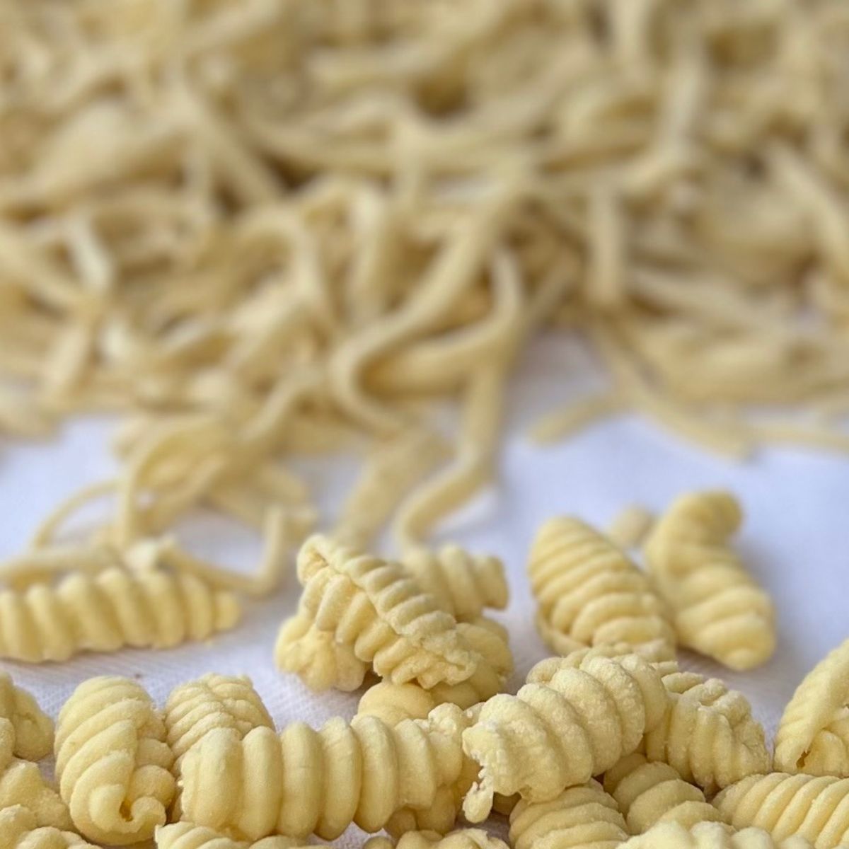 Sicilian Cuisine Culinary Class in the Garden