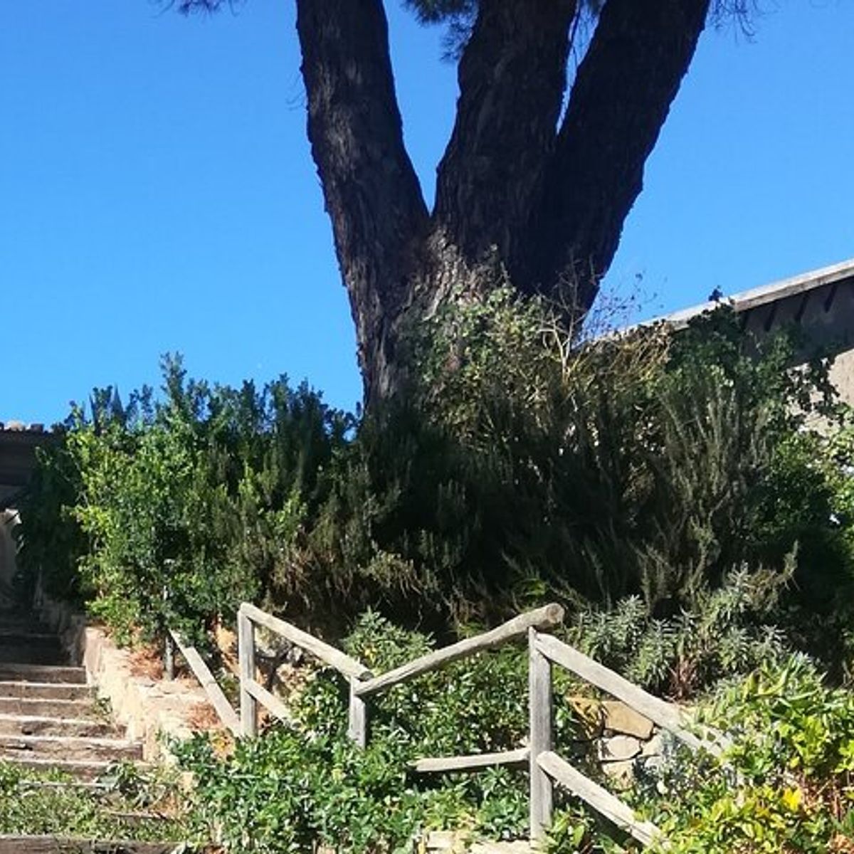 Siciliandays