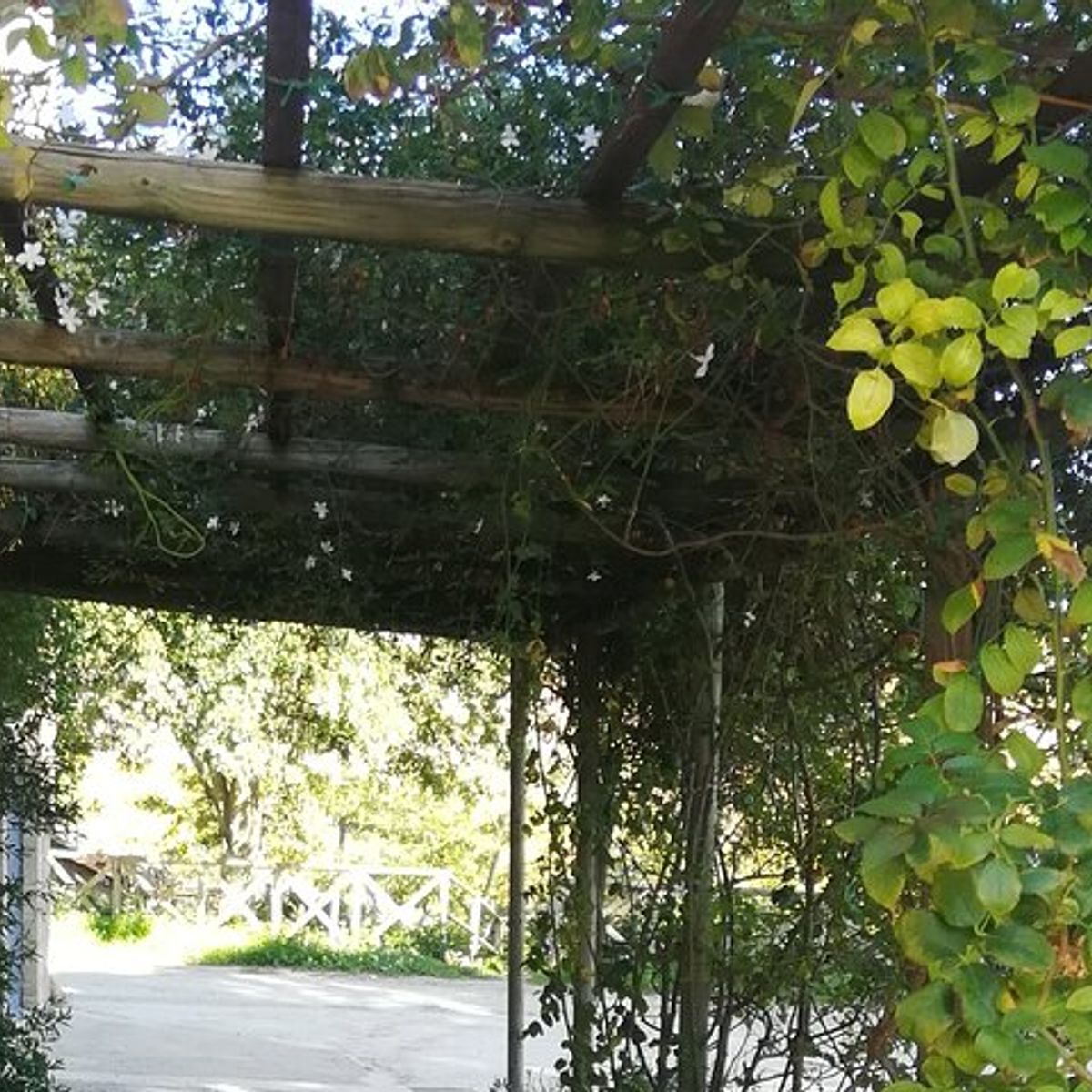 Sicilian Culinary Experience at the Country House