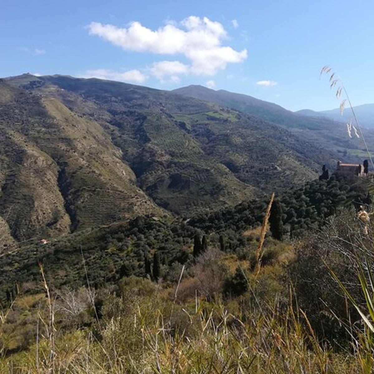 Sicilian Culinary Experience at the Country House