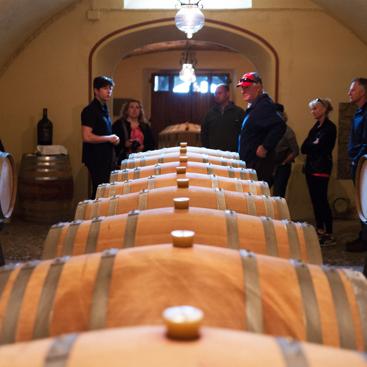 Chianti Full Immersive Wine & Olive Oil Experience