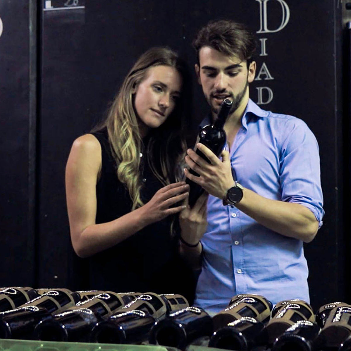 Chianti Full Immersive Wine & Olive Oil Experience