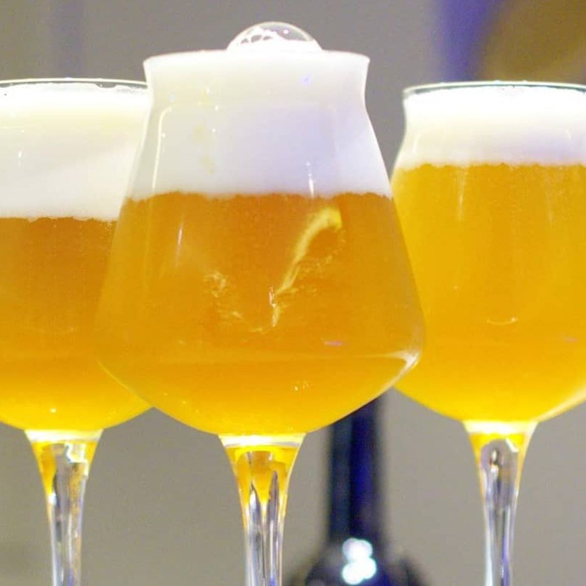 Sorrento: Guided Craft Beer Tasting & Brewery Experience