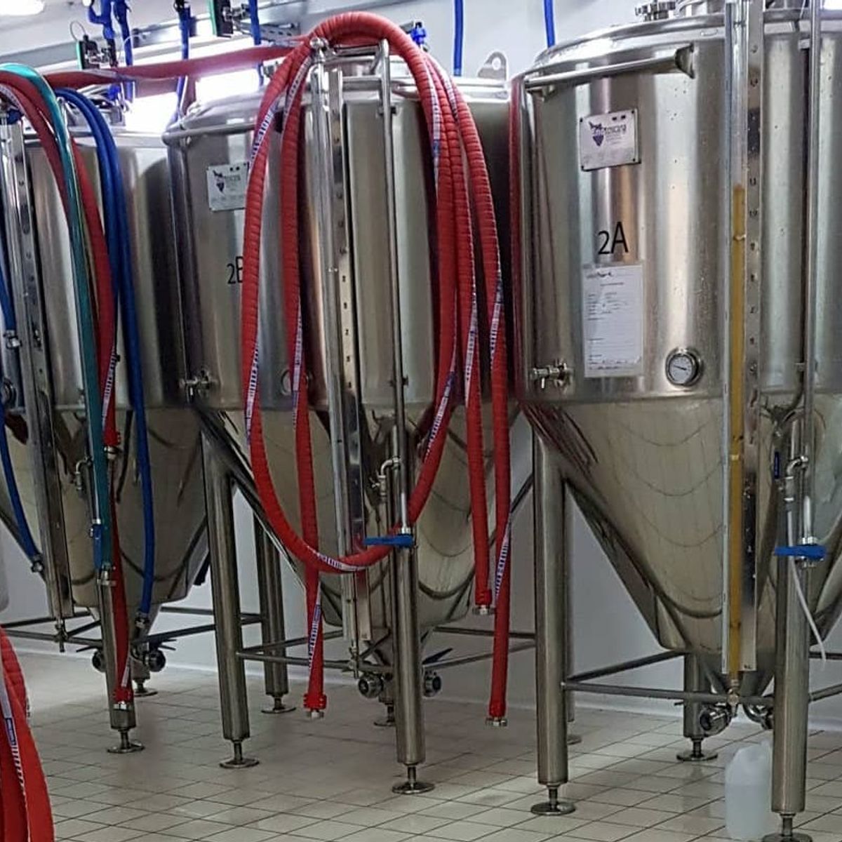 Sorrento: Guided Craft Beer Tasting & Brewery Experience