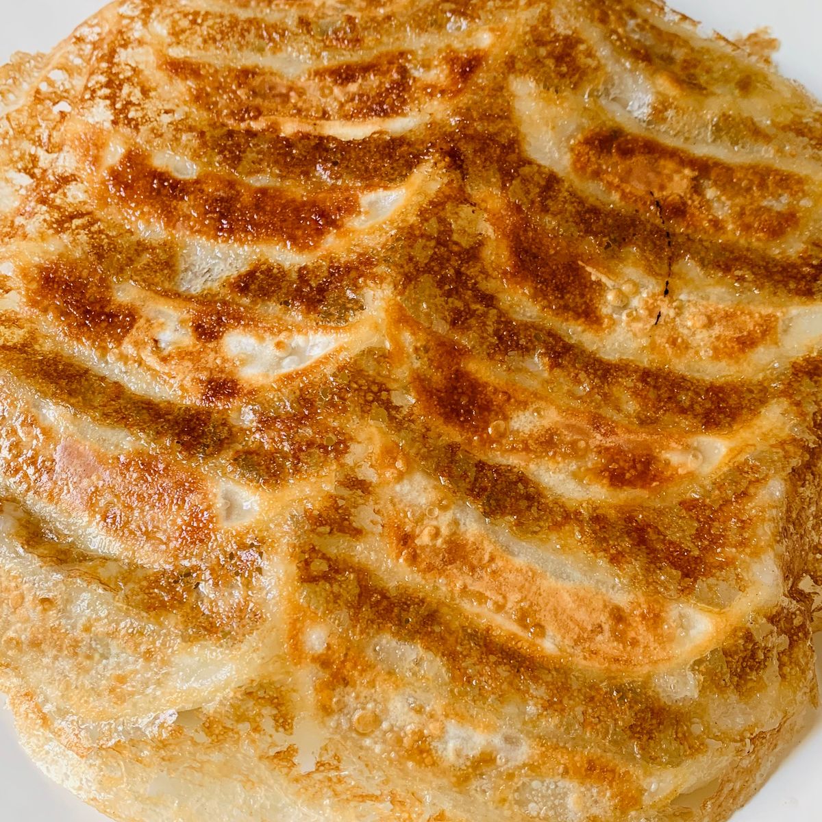 Japanese Delights Workshop: Mastering Tsukudani, Ramen and Gyoza