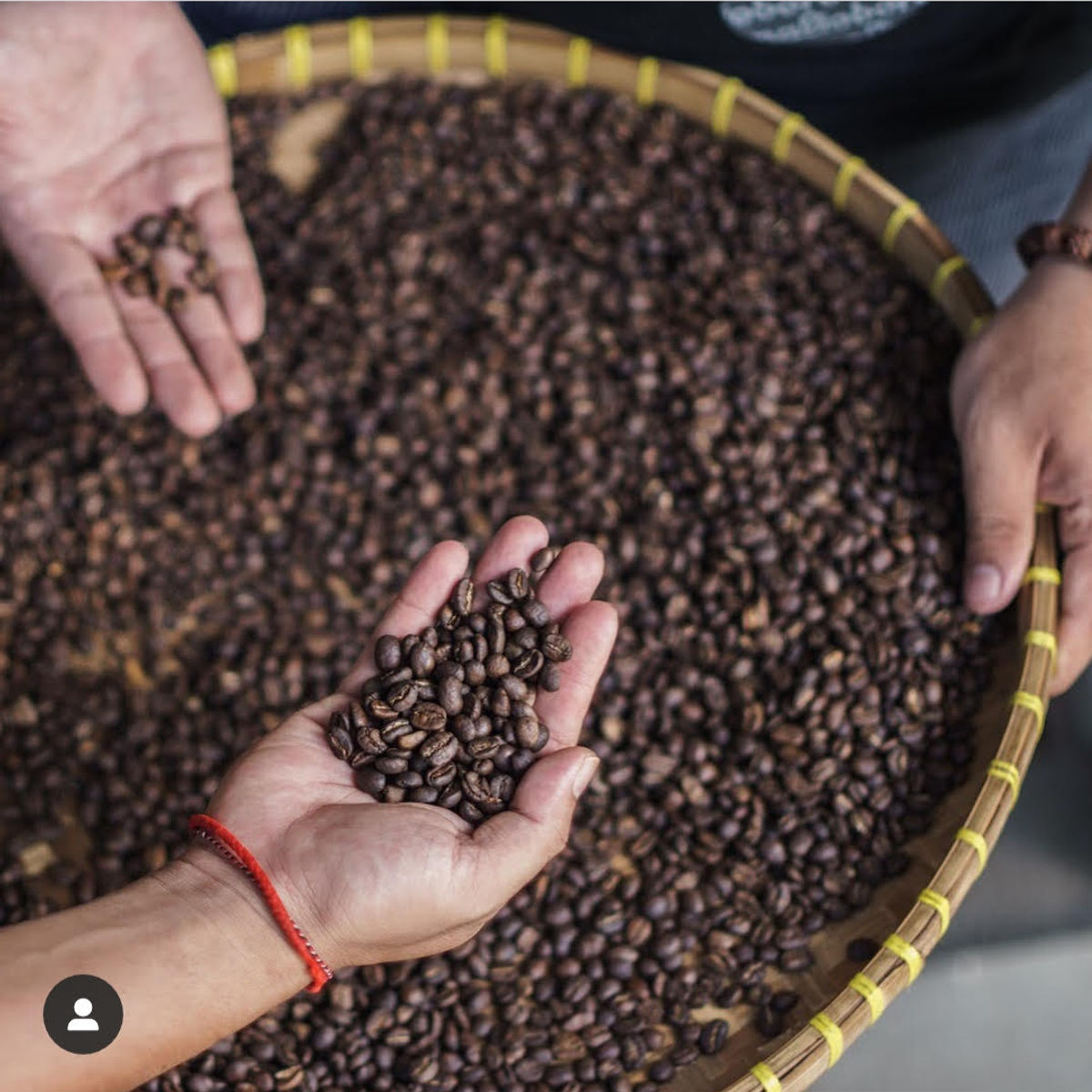 Cours de dégustation et de préparation de café à Ubud