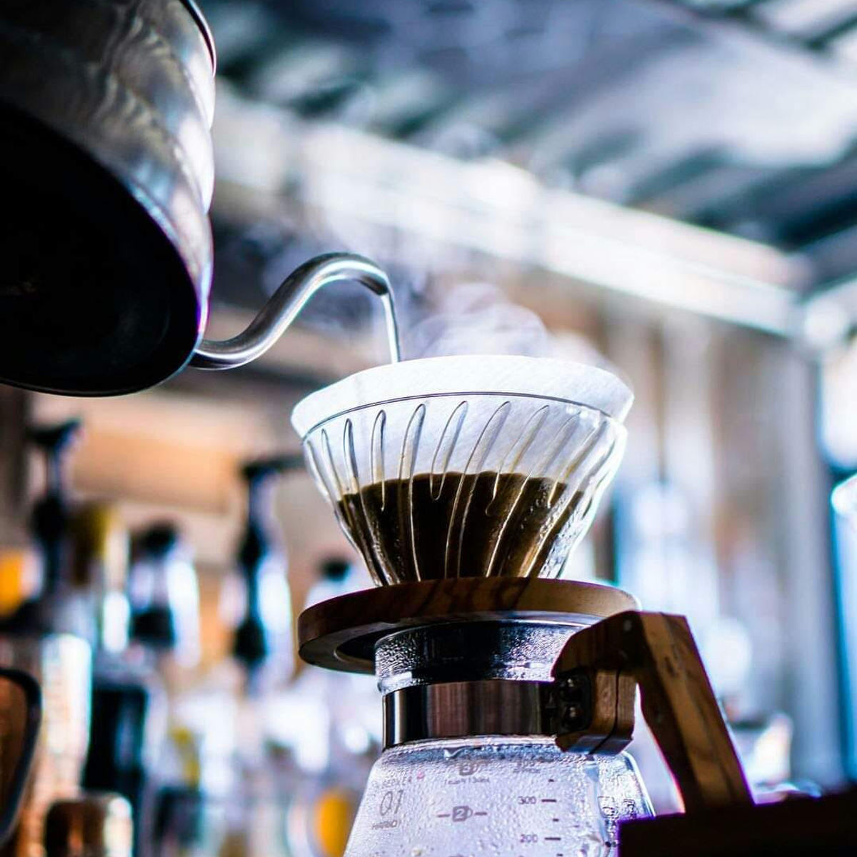 Special Tasting & Brewing Coffee Class In Ubud