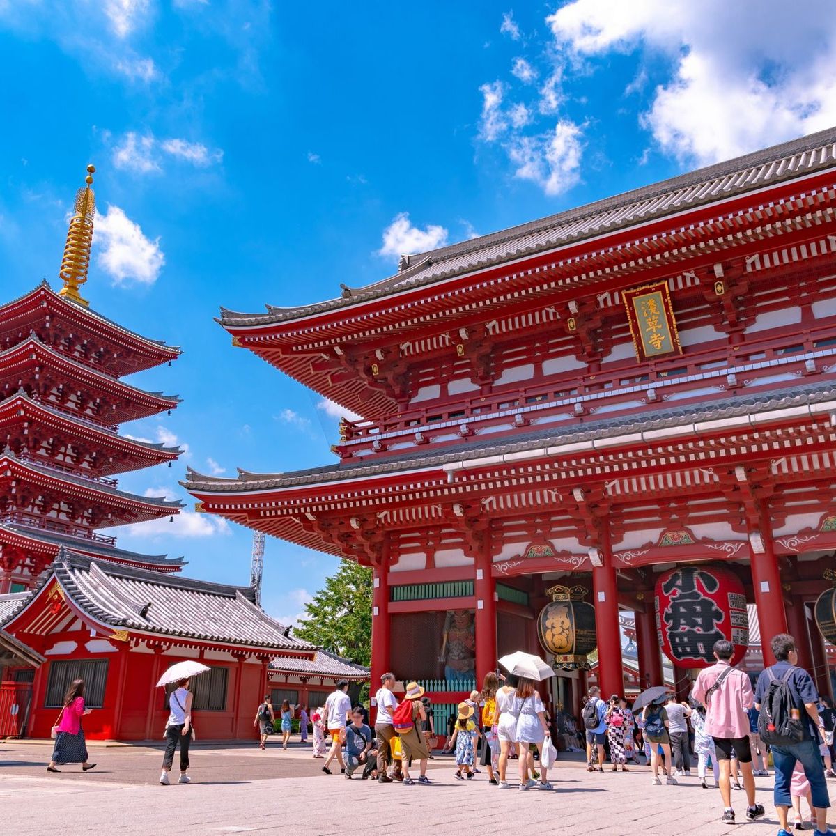 Sushi Making Masterclass in Tokyo: Learn Techniques from Experts in Asakusa