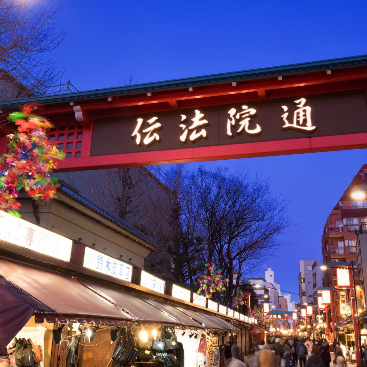 Sushi Making Masterclass in Tokyo: Learn Techniques from Experts in Asakusa