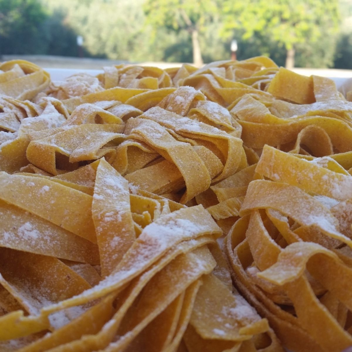 Master The Art of Handmade Pasta in a Roman Cooking Class near Piazza Navona