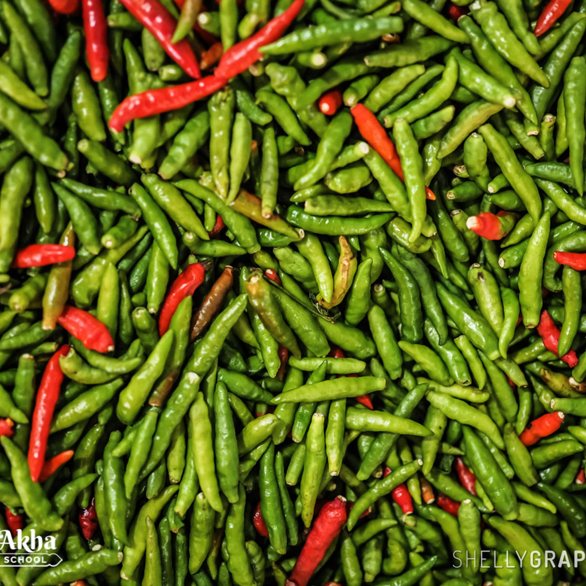 Thai Akha Tribe Cooking Class & Market Tour