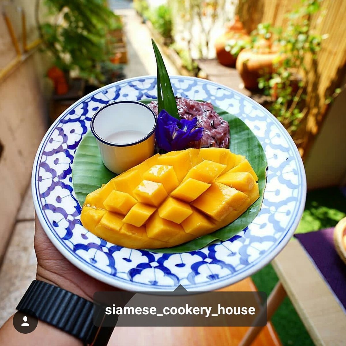 Authentic Thai Cooking in Traditional 100 Year Old House and Local Market Tour