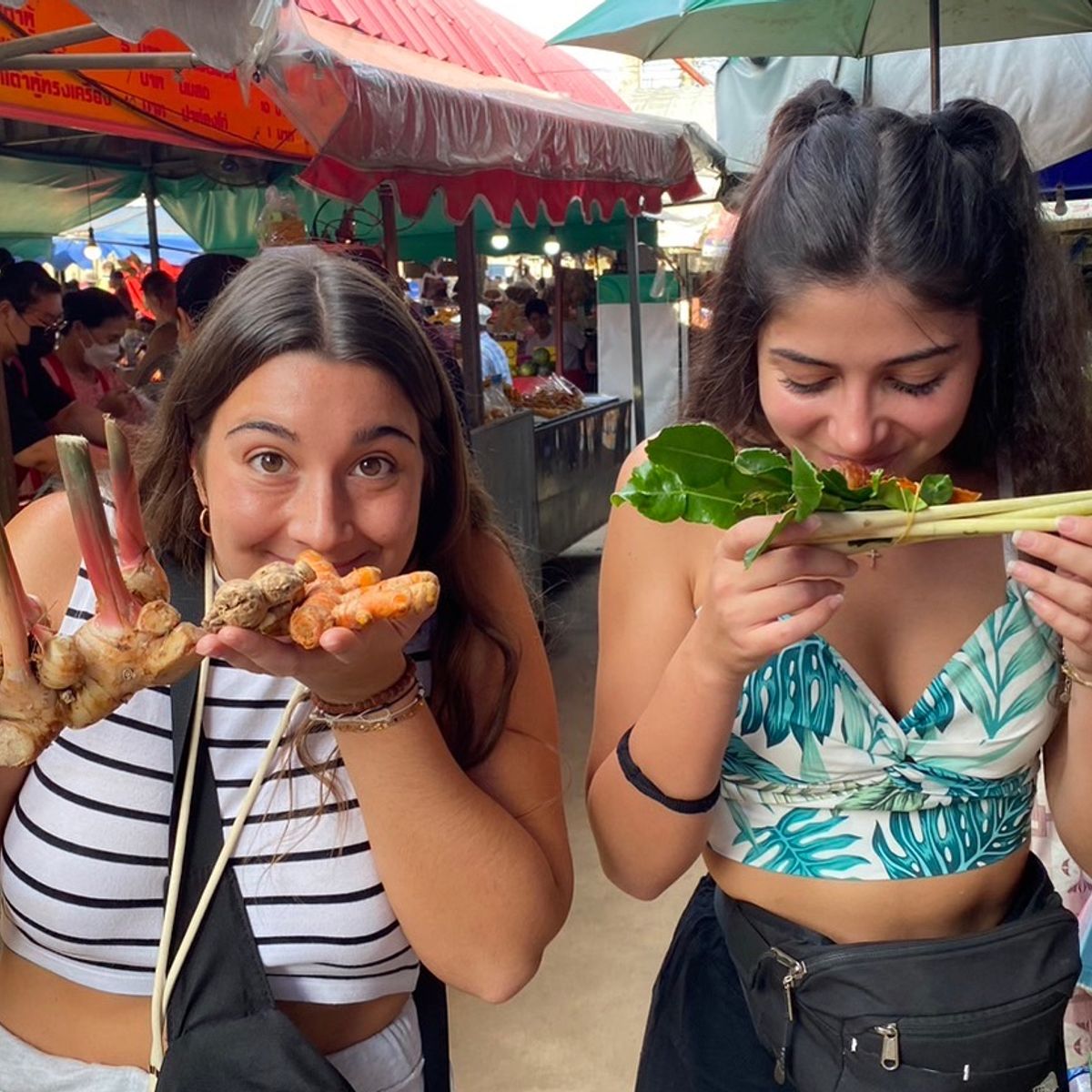 Thai Cooking Class in Organic Farm with Local Market Tour