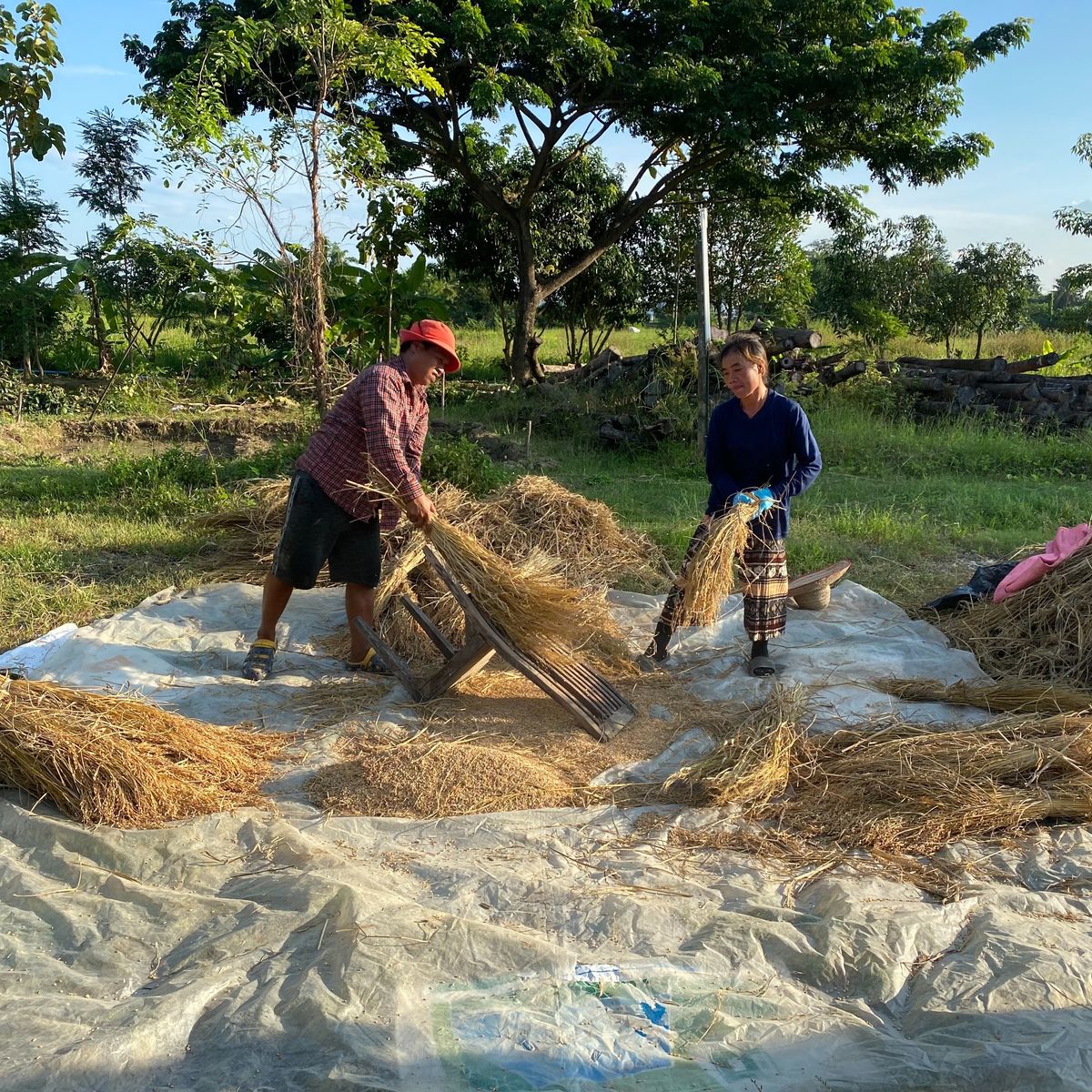 Thai Cooking Class in Organic Farm with Local Market Tour