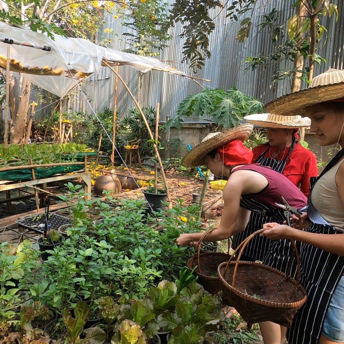 Thailändischer Kochkurs in Sukhothai
