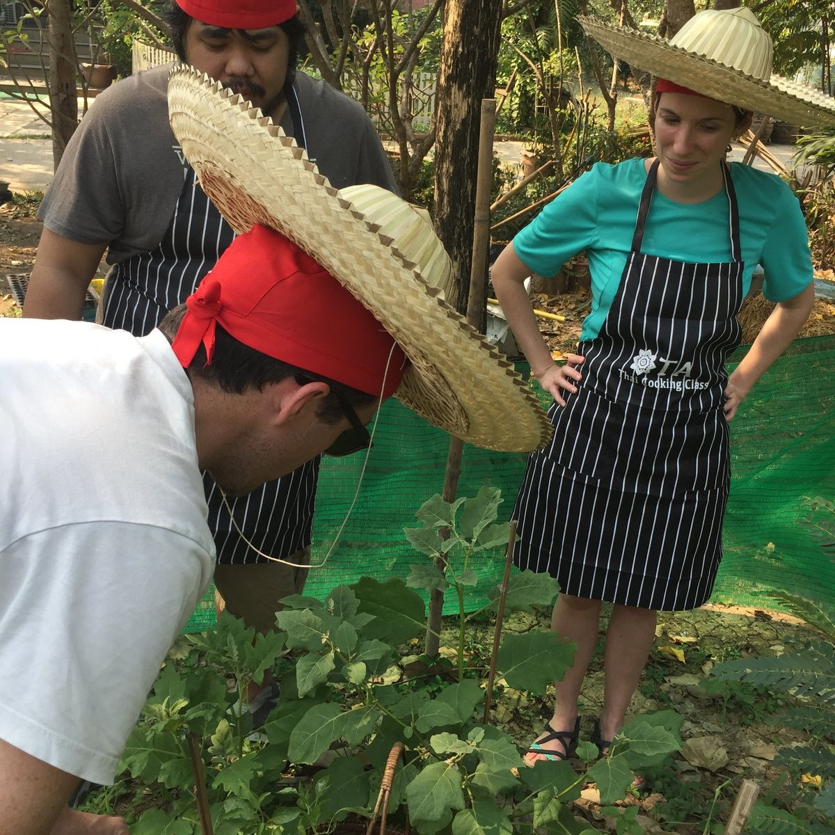 Thai Cooking Class in Sukhothai