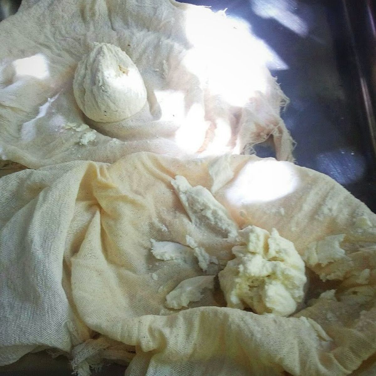 Découvrez l'art ancestral de la fabrication du fromage et du pain dans une oliveraie tricentenaire.