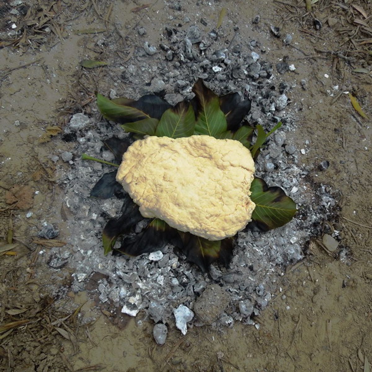 Découvrez l'art ancestral de la fabrication du fromage et du pain dans une oliveraie tricentenaire.