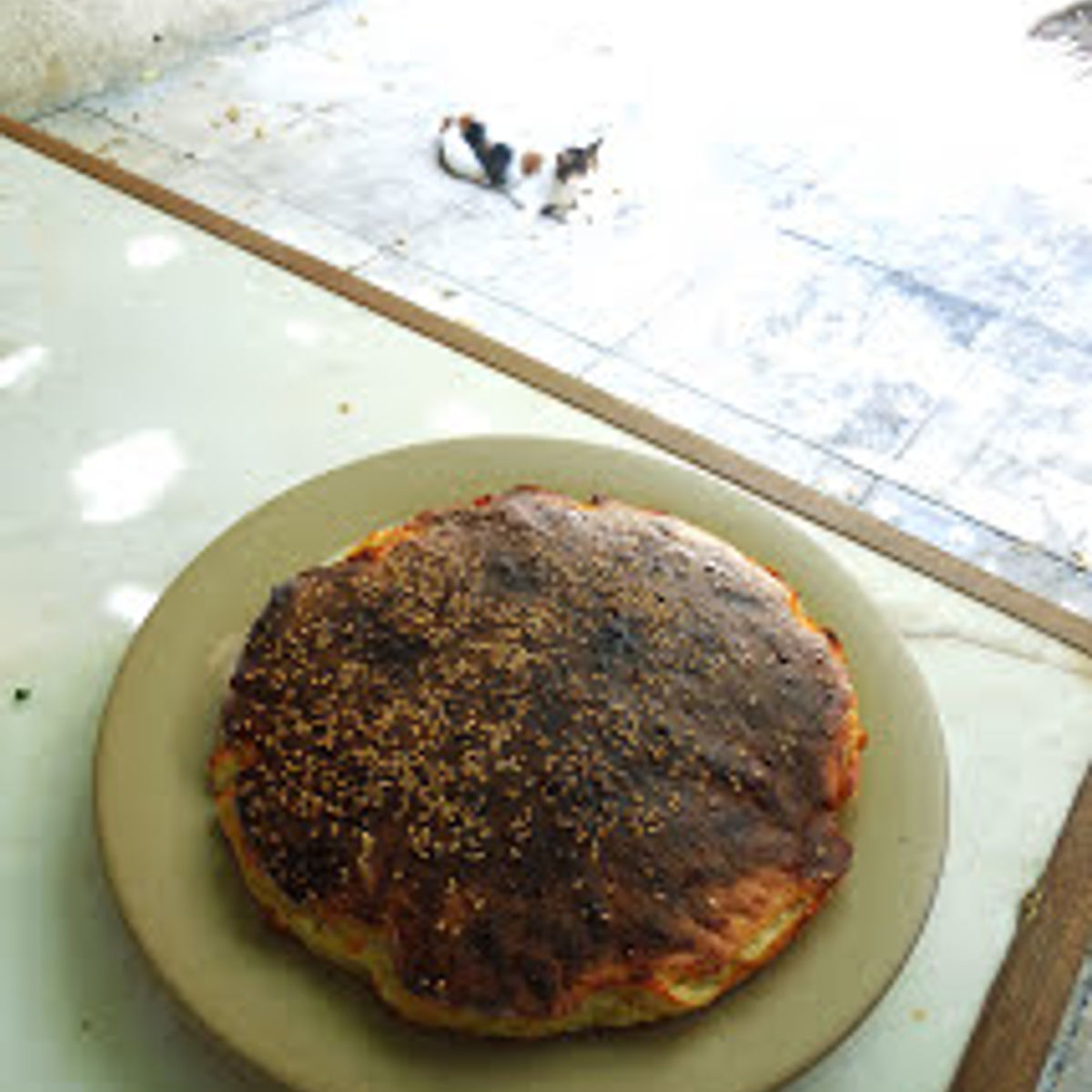 Découvrez l'art ancestral de la fabrication du fromage et du pain dans une oliveraie tricentenaire.