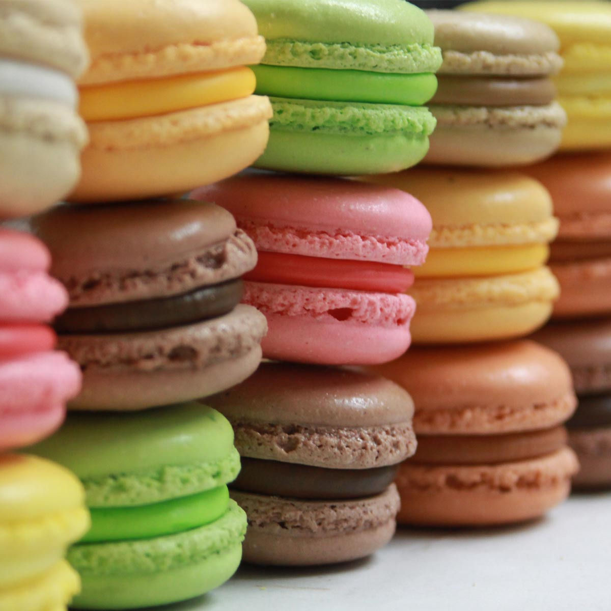 The Art of Making Italian-Style Macarons in Rome