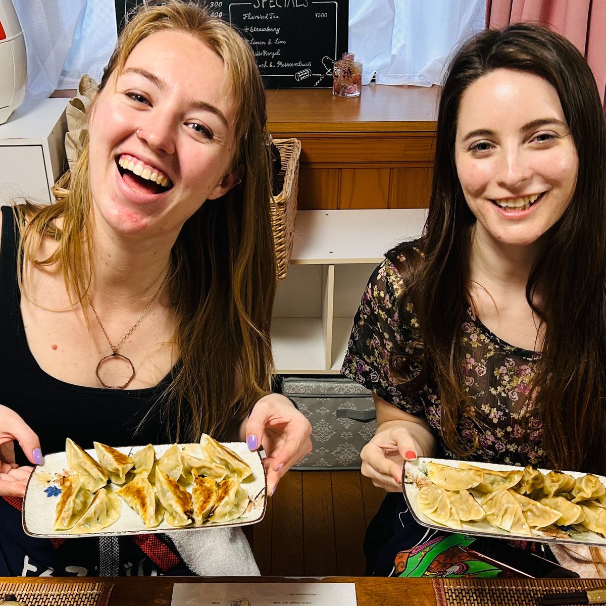 The Art of Making Homemade Japanese Gyoza Class in Nagoya