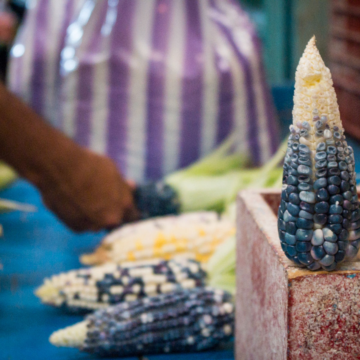 The Best Market Experience in Mexico City on Mondays, Wednesdays, Fridays and Saturdays