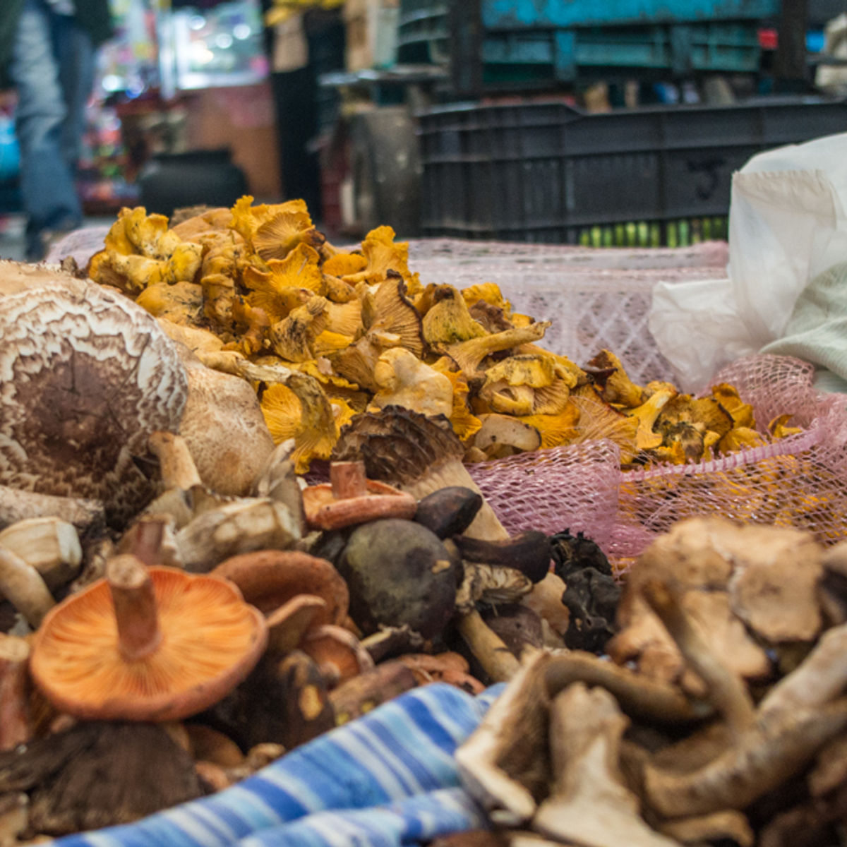The Best Market Experience in Mexico City on Mondays, Wednesdays, Fridays and Saturdays