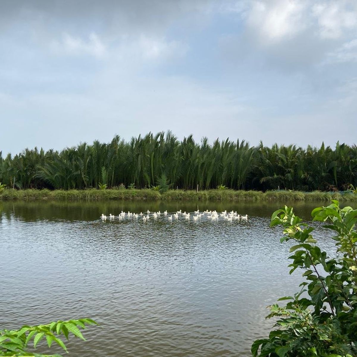 Thuan Tinh Island Sunset Family Cooking Class, Rowboat Ride, Lantern Lounge In Water Coconut Forest
