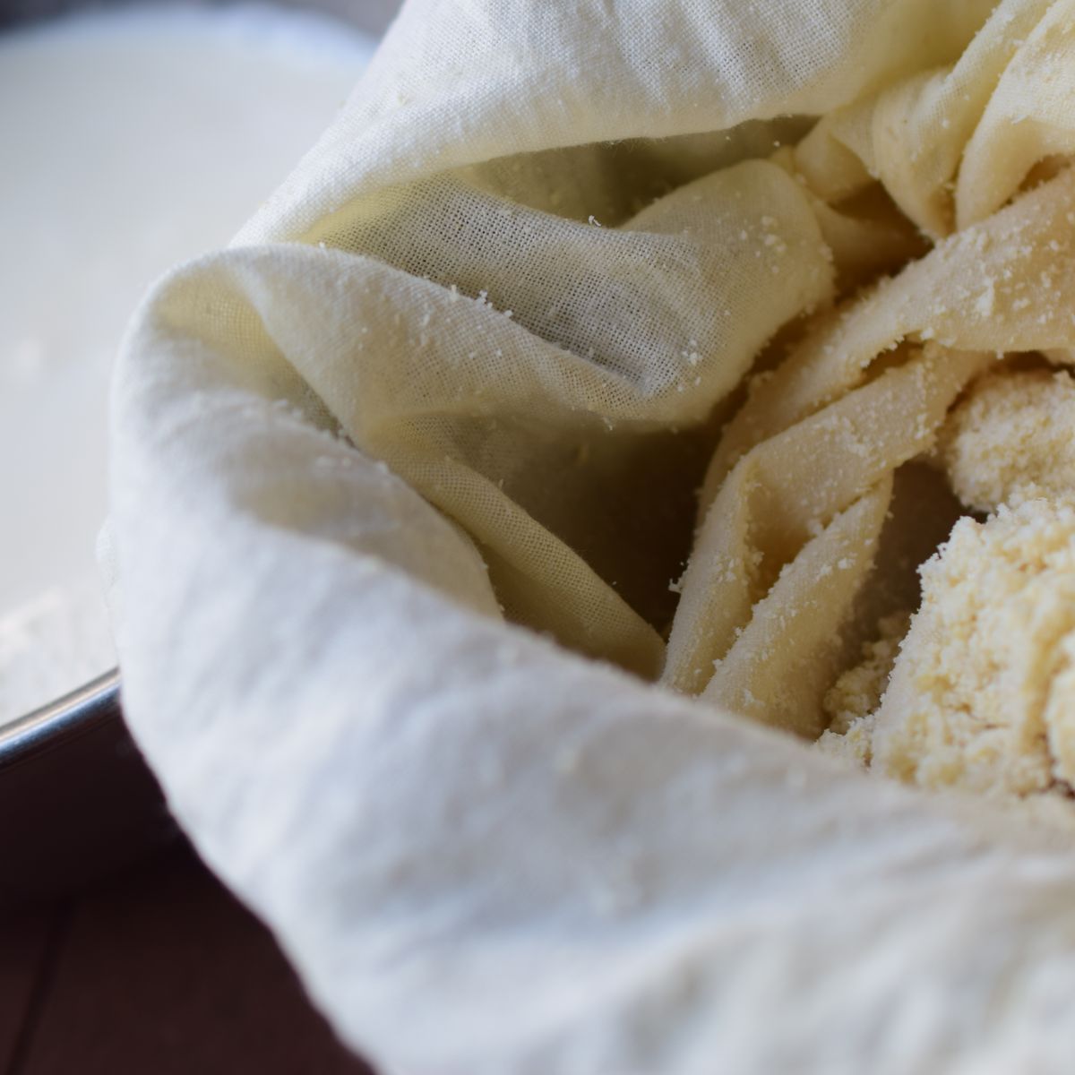 Macrobiotic Tofu Making Class & Japanese Vegan Meal: Countryside Tokyo Retreat