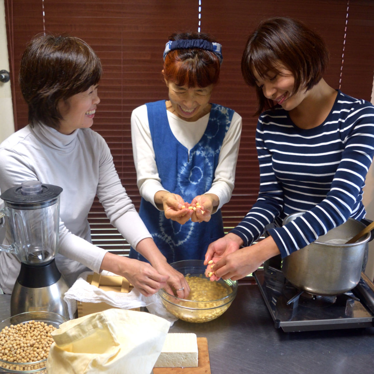Macrobiotic Tofu Making Class & Japanese Vegan Meal: Countryside Tokyo Retreat