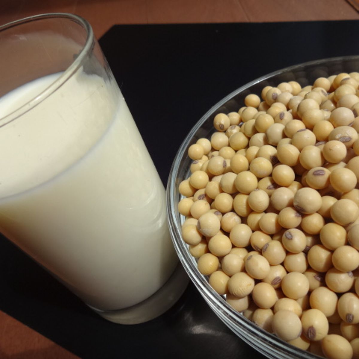 Macrobiotic Tofu Making Class & Japanese Vegan Meal: Countryside Tokyo Retreat