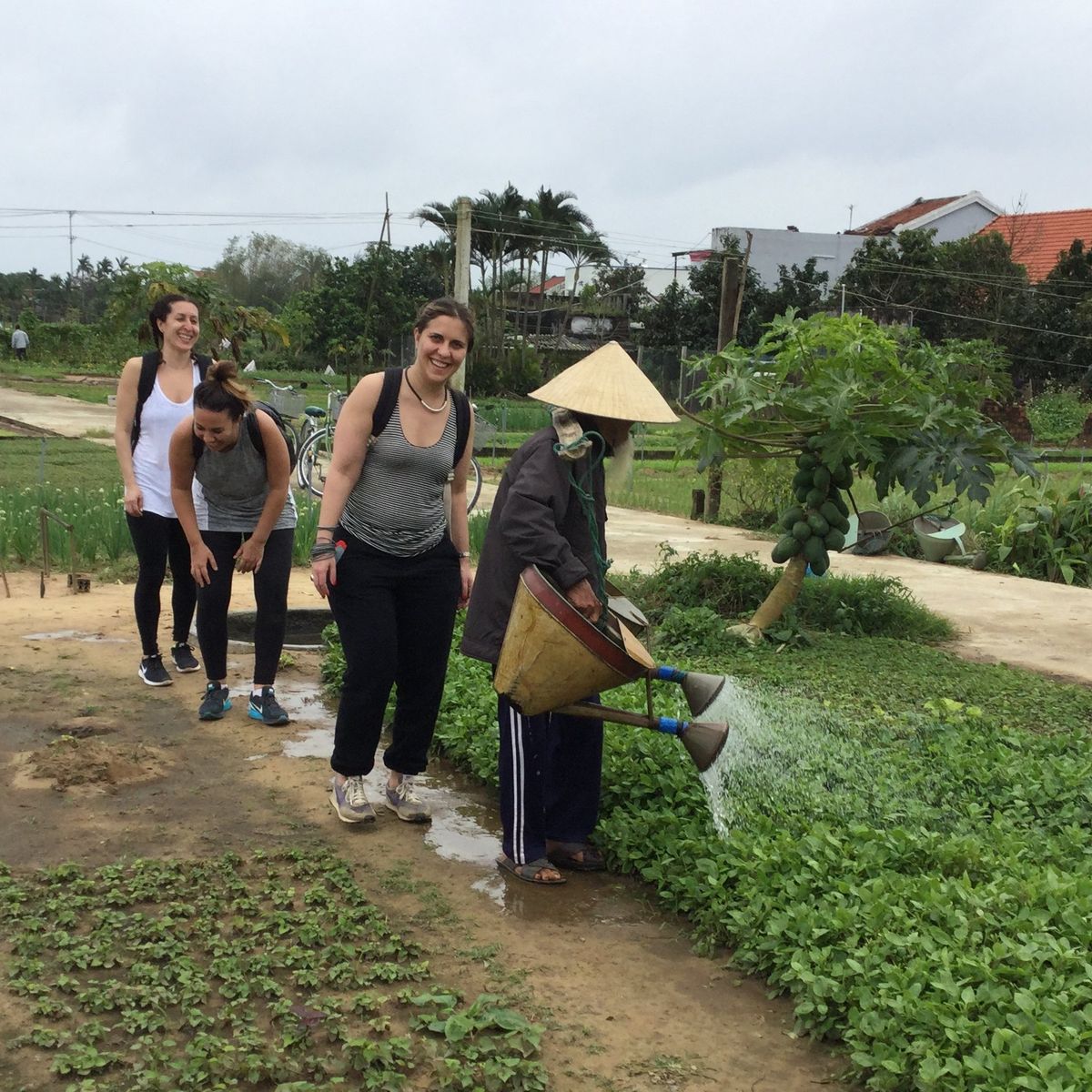 Cooking Class with Garden Trip and Herbal Massage in Tra Que Village