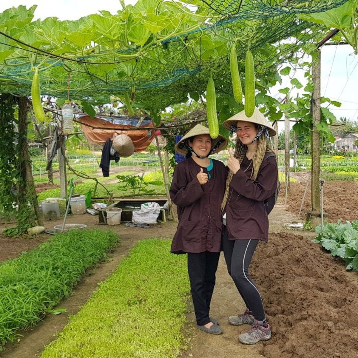 Hoi An Cooking Class with Market Visit and Bamboo Basket Boat Tour