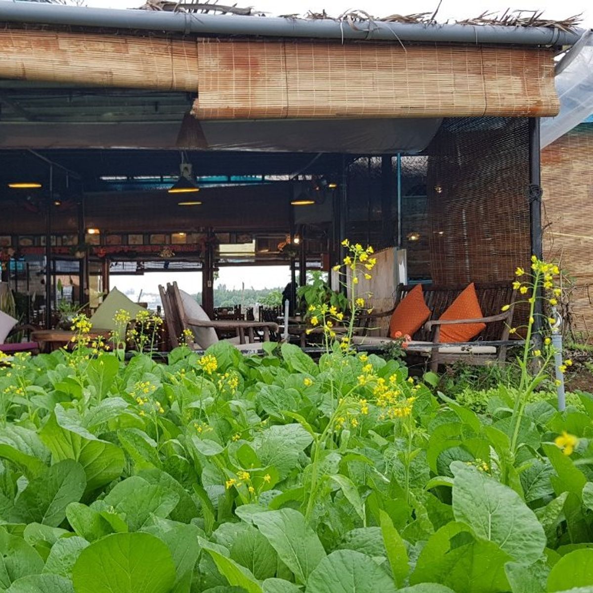 Hoi An Cooking Class with Market Visit and Bamboo Basket Boat Tour