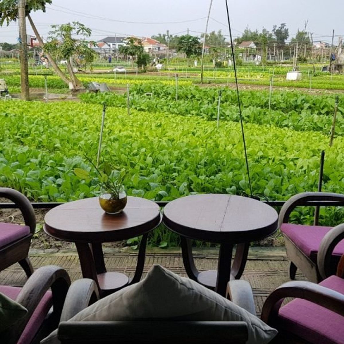 Hoi An Cooking Class with Market Visit and Bamboo Basket Boat Tour