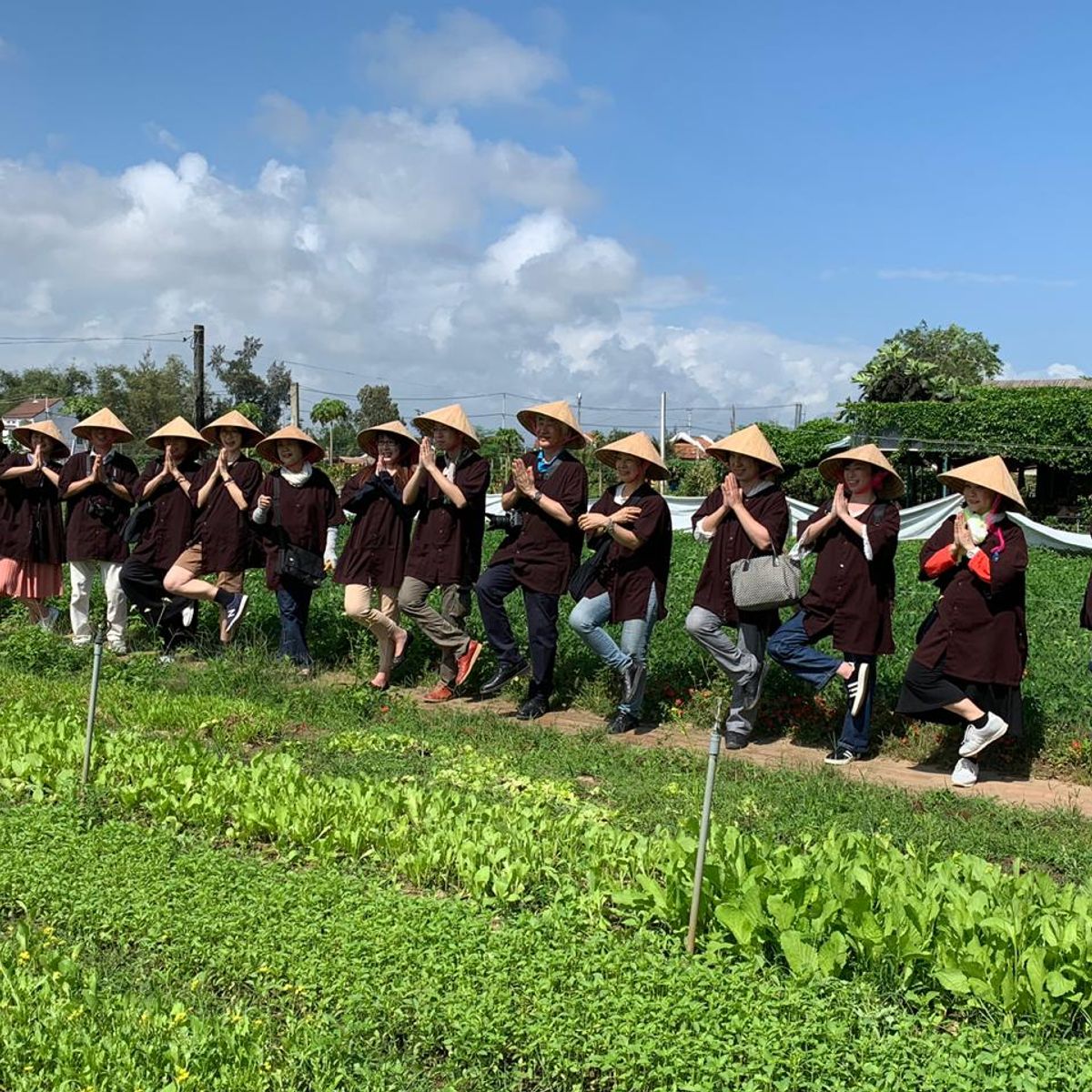 Tra Que Water Wheel Package 3 in 1 - Farming, Buffalo, Rice paper making and Cooking