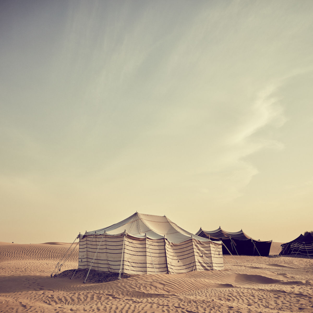 Traditional Bedouin Evening, Camel Ride, Cooking Show and Dinner