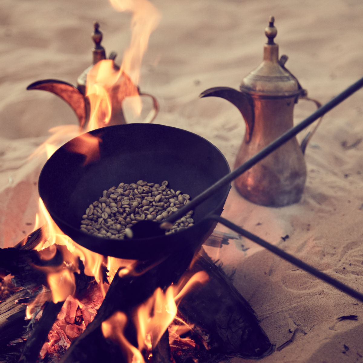 Traditional Bedouin Evening, Camel Ride, Cooking Show and Dinner