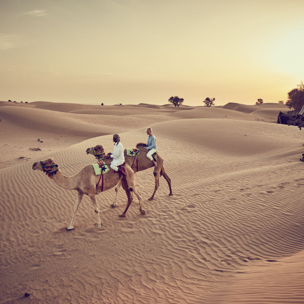 Traditional Bedouin Evening, Camel Ride, Cooking Show and Dinner