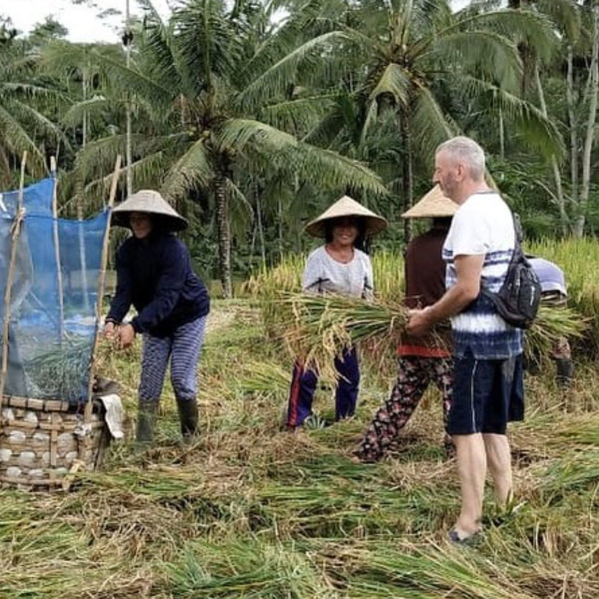 Immersive Experience in Traditional Balinese Cuisine