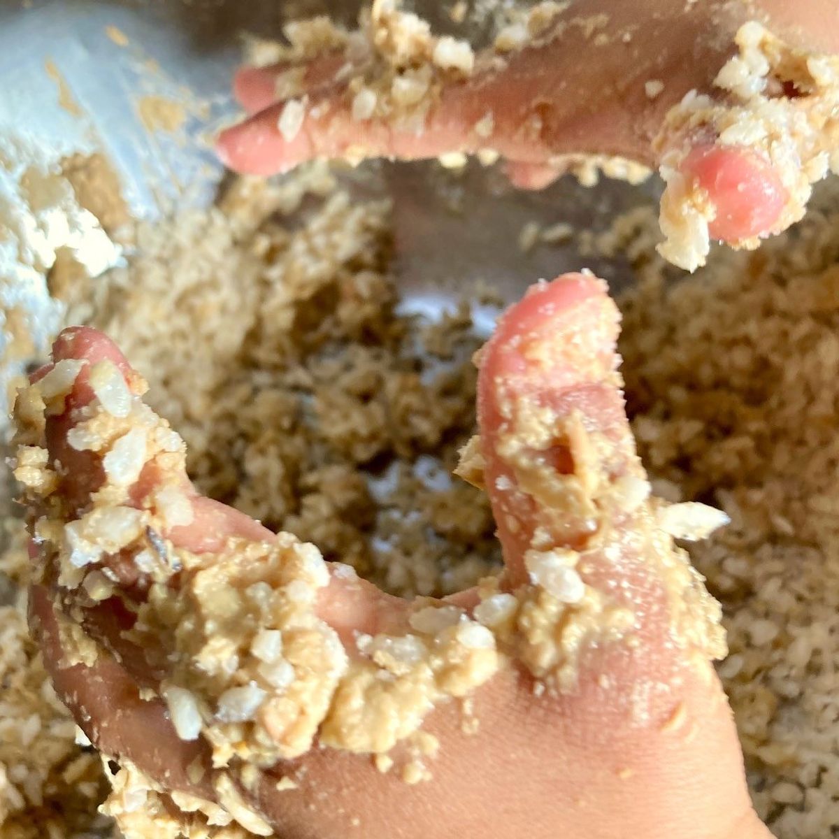 Traditional Japanese Miso Workshop & Vegan Lunch + Miso Souvenir (Countryside)