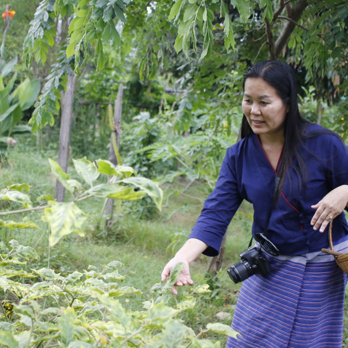 Traditional Lanna Countryside Cooking Experience
