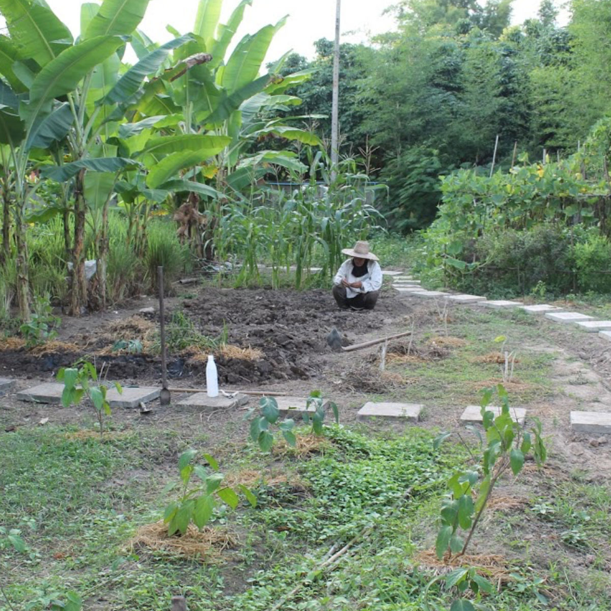 Traditional Lanna Countryside Cooking Experience