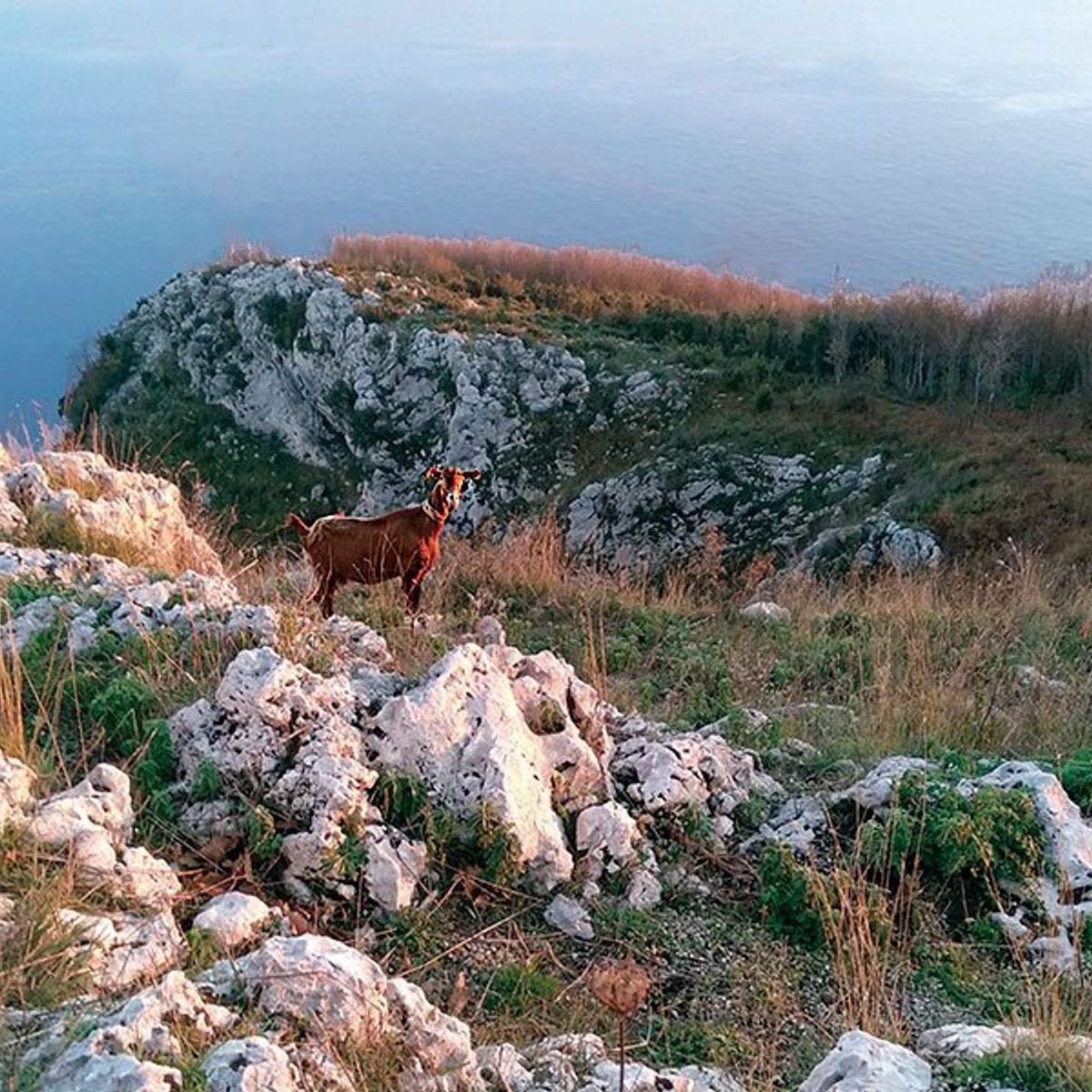 Trek 'n' Cook with Satva and Enrico near Amalfi