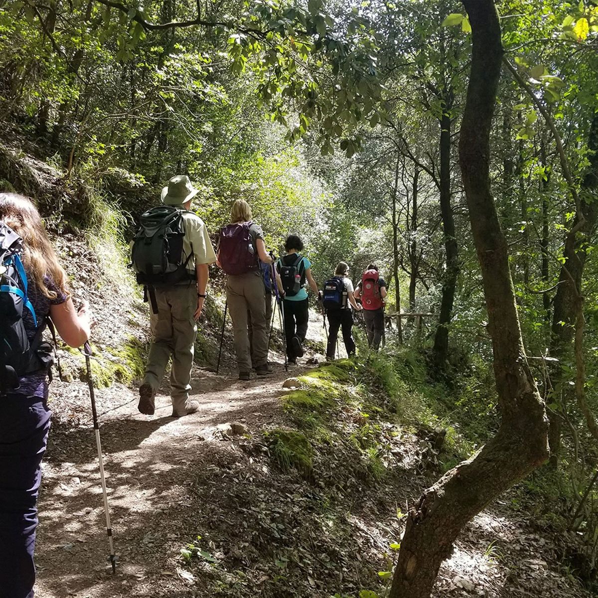 Trek 'n' Cook with Satva and Enrico near Amalfi