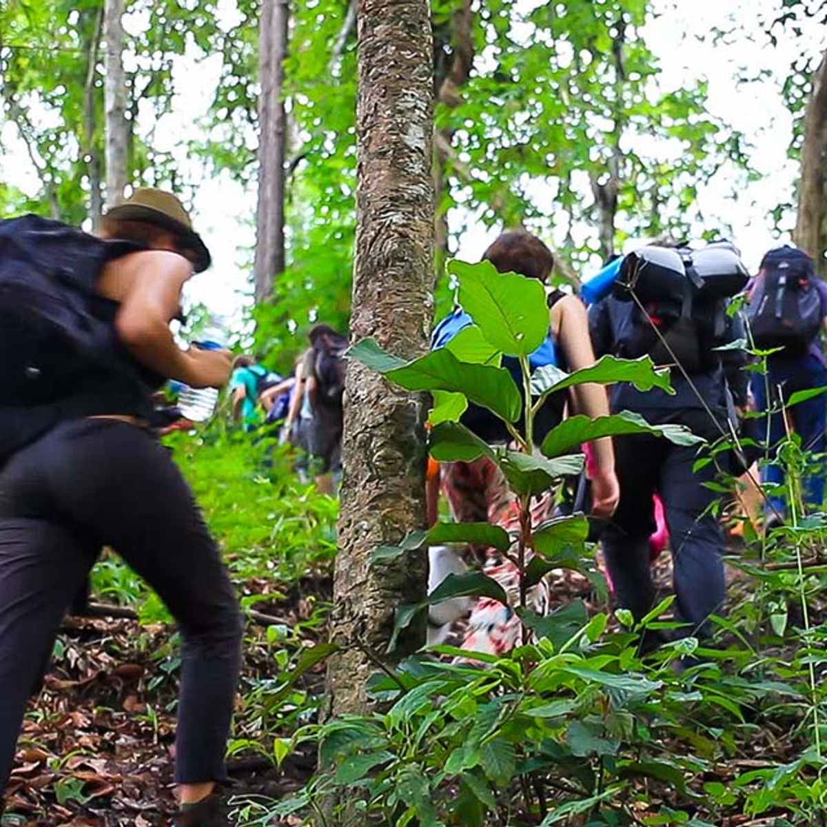 Cooking, Trekking, Elephant Caring and Learning about Karen Culture (3 Days 2 Nights)